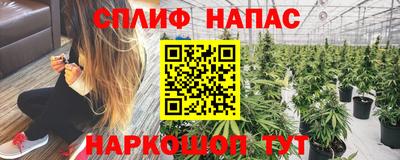 apvp Будённовск