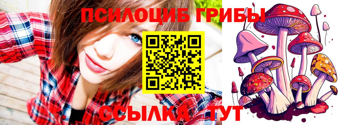 Псилоцибиновые грибы Psilocybe  Вход с VPN  Псилоцибиновые грибы Psilocybine cubensis  Похвистнево 